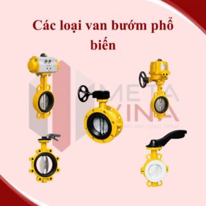 Phân loại Van bướm